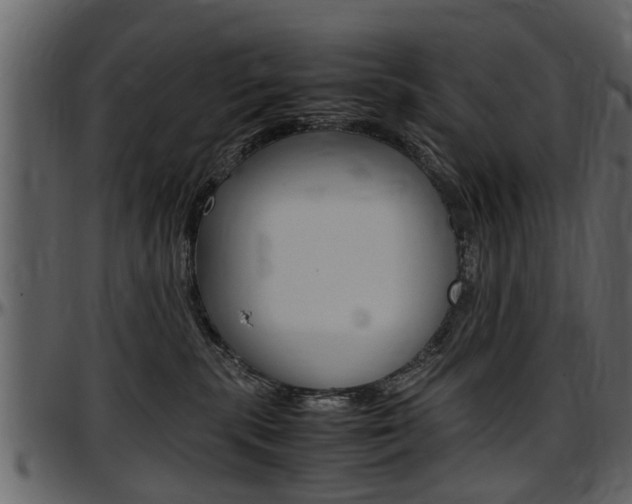 X0000097640283200802290830