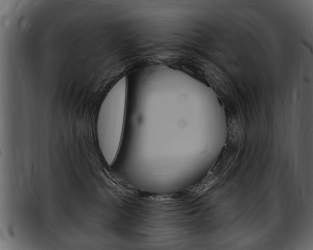 X0000097640284200802290830