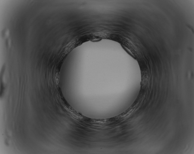 X0000097640285200802290830