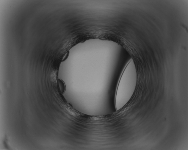 X0000097640286200802290830