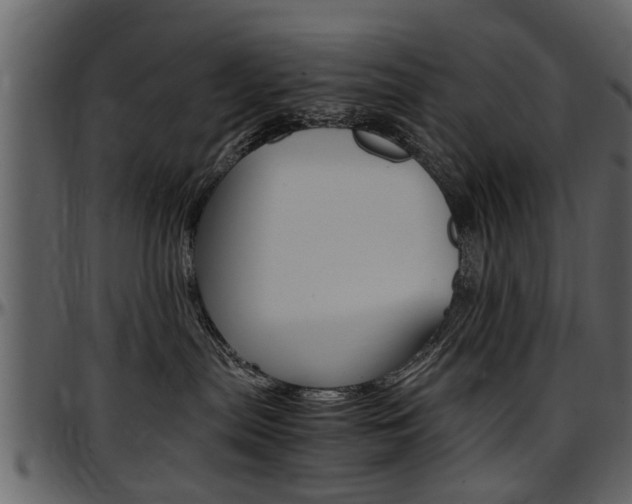 X0000097640287200802290830