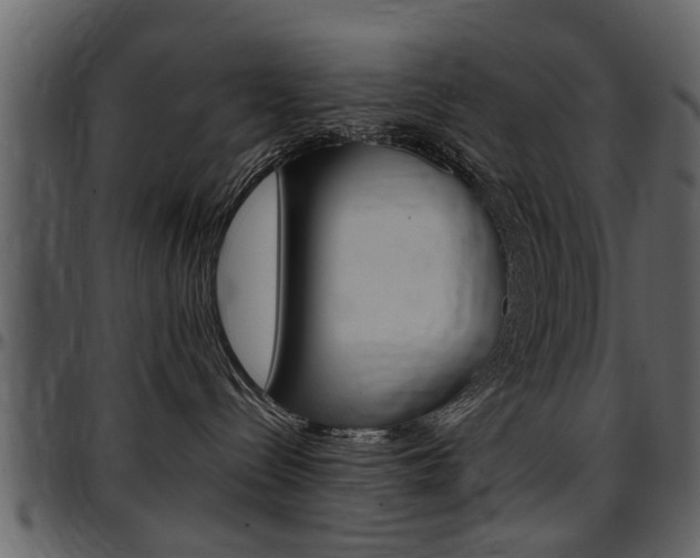 X0000097640288200802290830