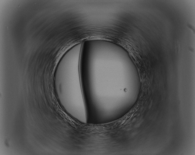 X0000097640289200802290829