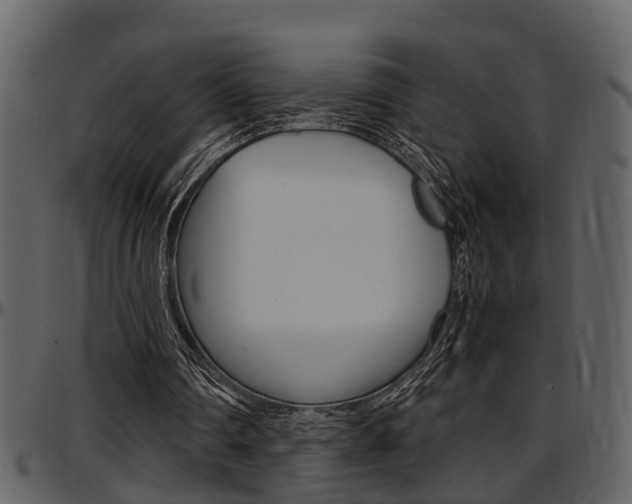 X0000097640290200802290829