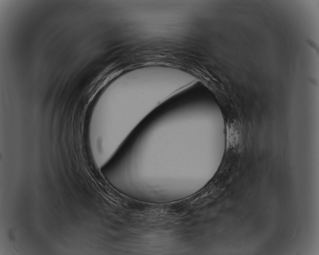 X0000097640291200802290829