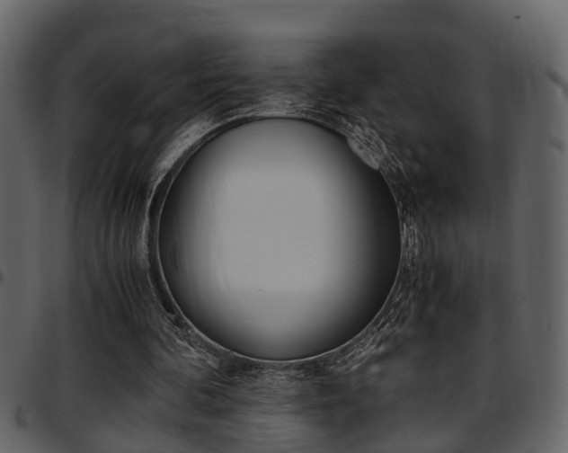 X0000097640292200802290829
