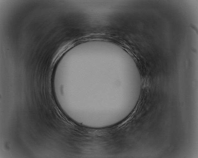 X0000097640293200802290829