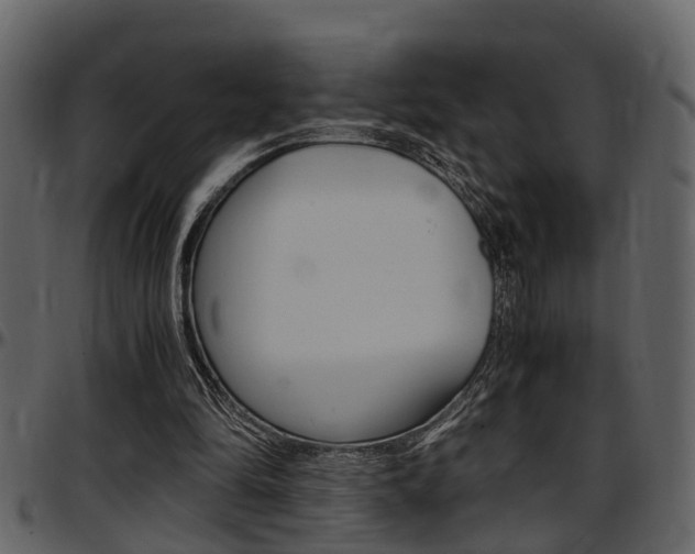 X0000097640294200802290829