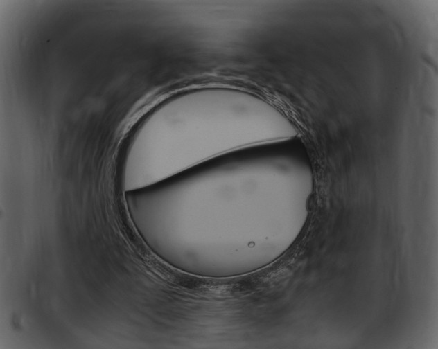 X0000097640295200802290829
