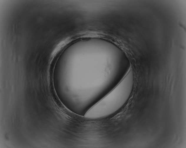 X0000097640296200802290829