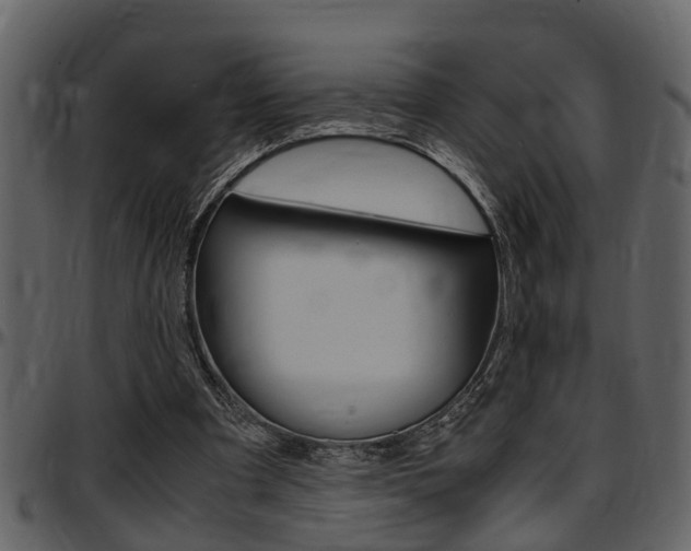 X0000097640297200802290829
