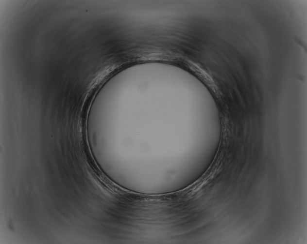 X0000097640298200802290829