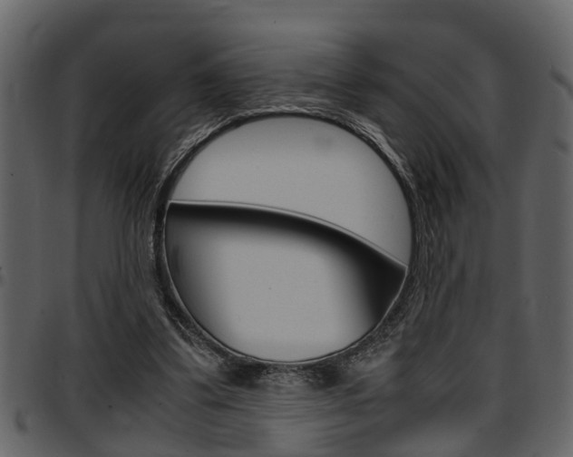 X0000097640299200802290829