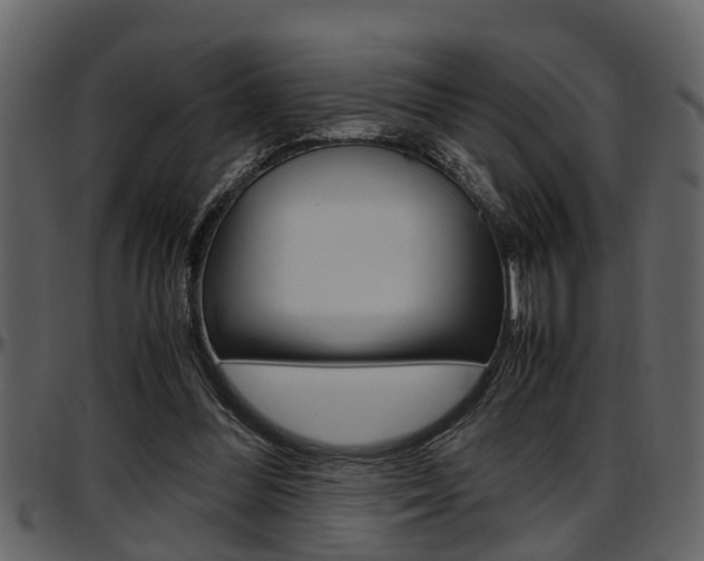 X0000097640300200802290829