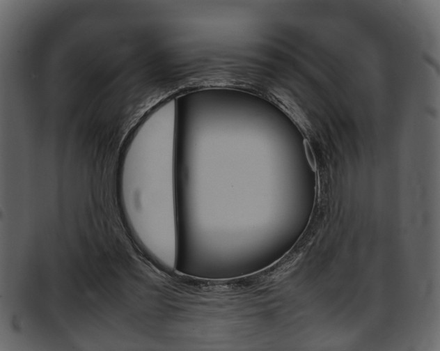 X0000097640301200802290829