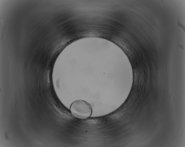 X0000097640302200802290829