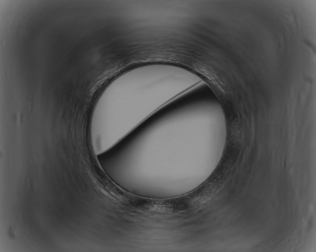 X0000097640303200802290829