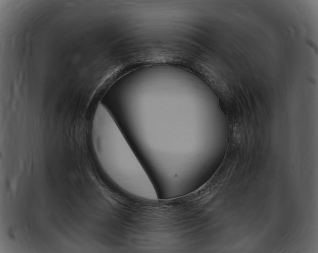X0000097640304200802290829
