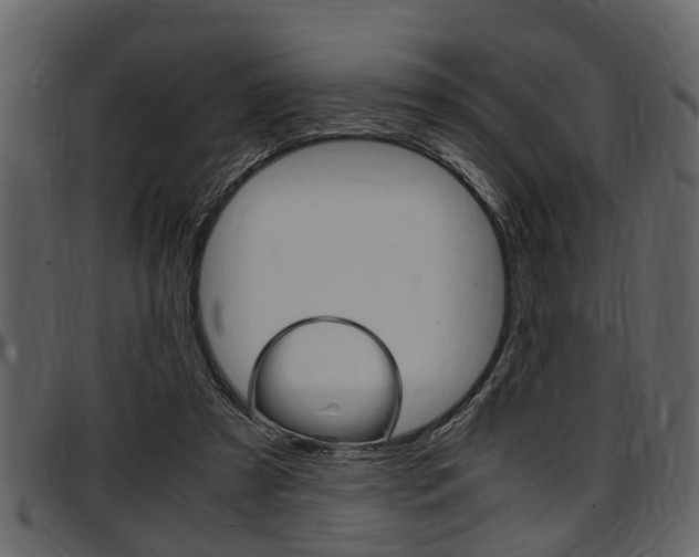 X0000097640305200802290829