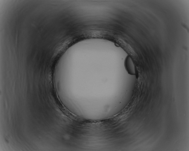 X0000097640306200802290829