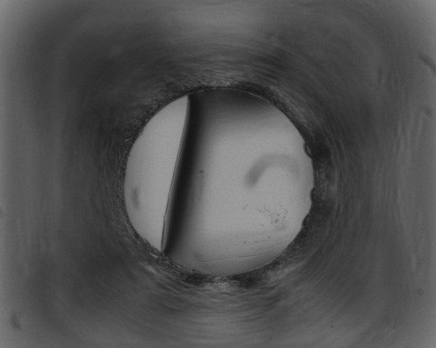 X0000097640307200802290829