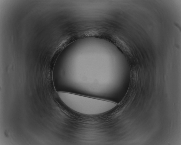 X0000097640308200802290829
