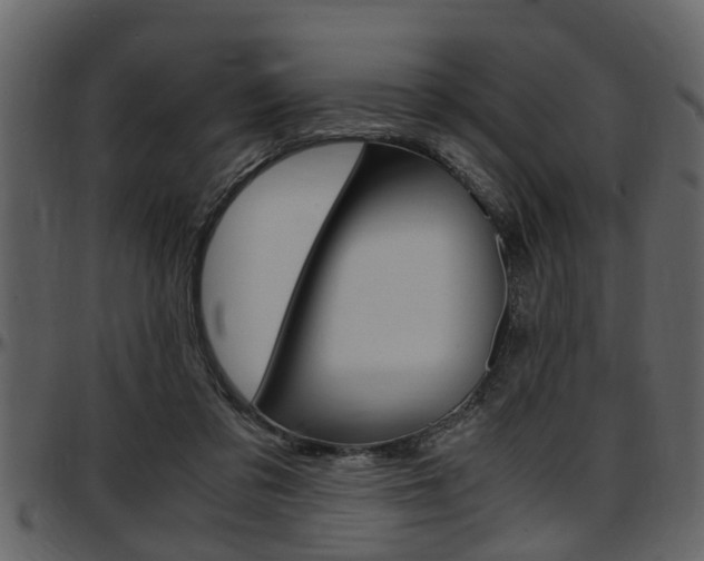 X0000097640309200802290829
