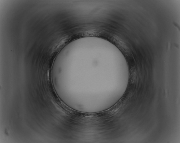 X0000097640310200802290829