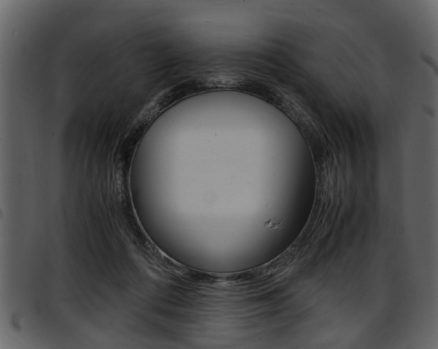 X0000097640312200802290829