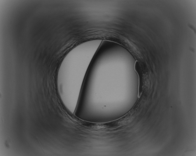 X0000097640313200802290829