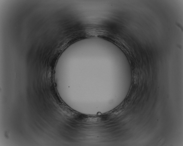 X0000097640314200802290829