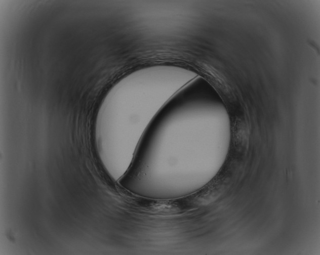 X0000097640315200802290829