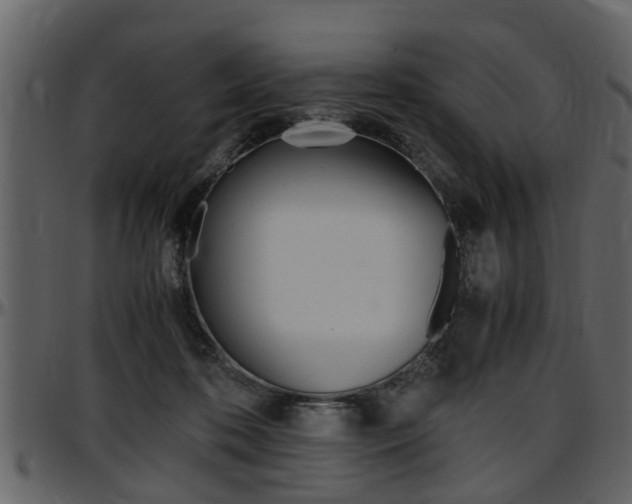 X0000097640316200802290829