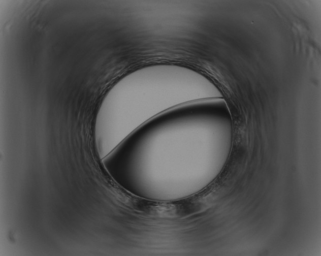 X0000097640317200802290828