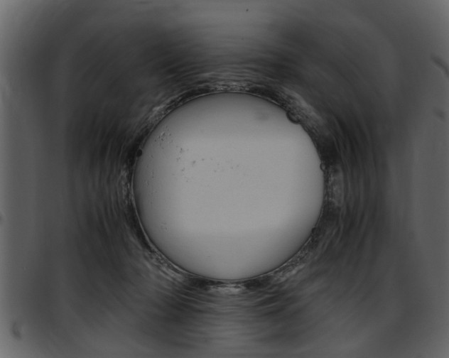 X0000097640318200802290828