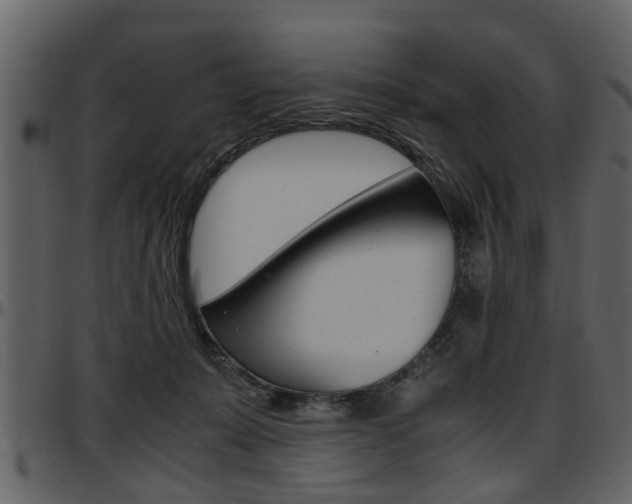 X0000097640319200802290828