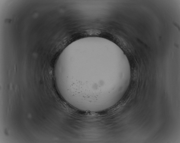X0000097640321200802290828