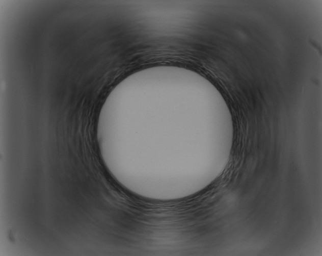 X0000097640323200802290828
