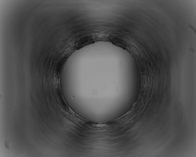 X0000097640324200802290828