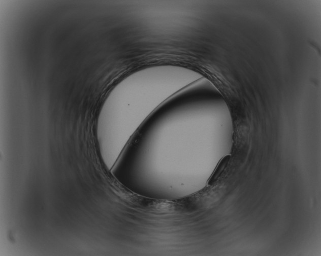 X0000097640325200802290828