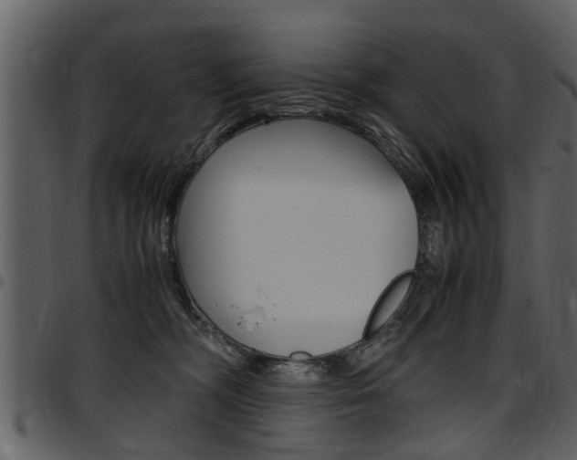 X0000097640326200802290828