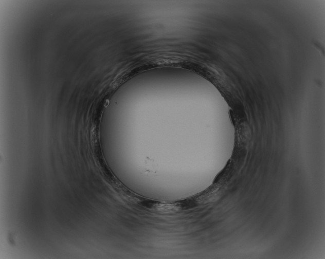 X0000097640327200802290828