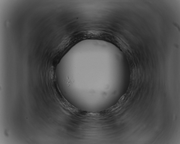 X0000097640328200802290828