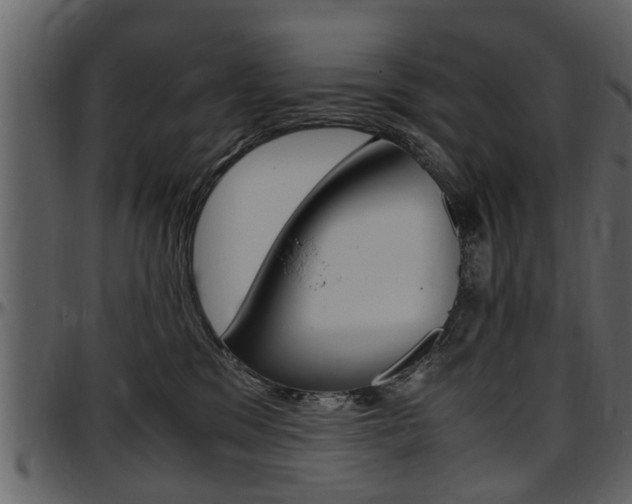 X0000097640329200802290828