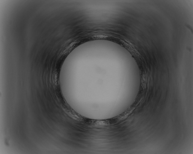 X0000097640330200802290828