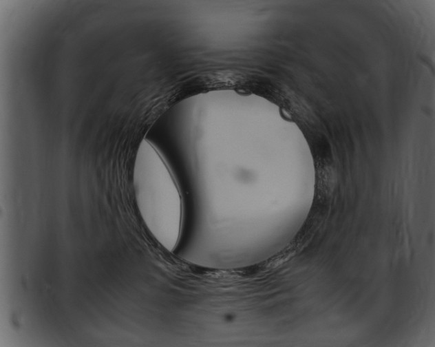 X0000097640331200802290828