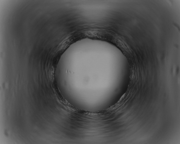 X0000097640332200802290828