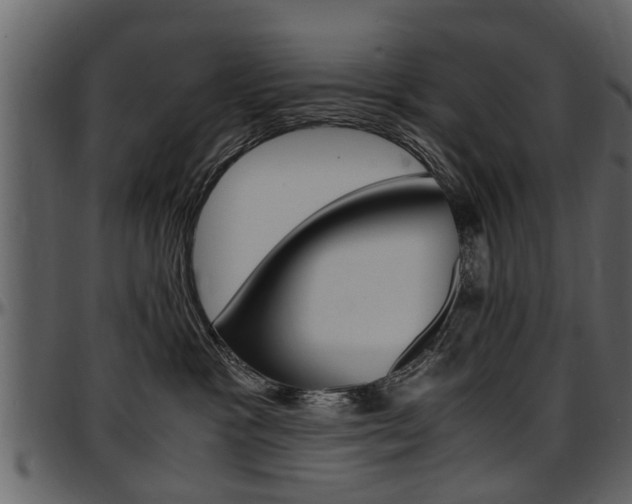 X0000097640333200802290828