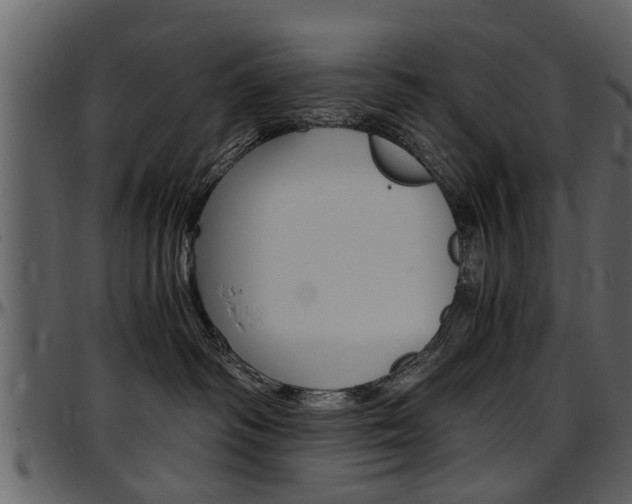 X0000097640334200802290828