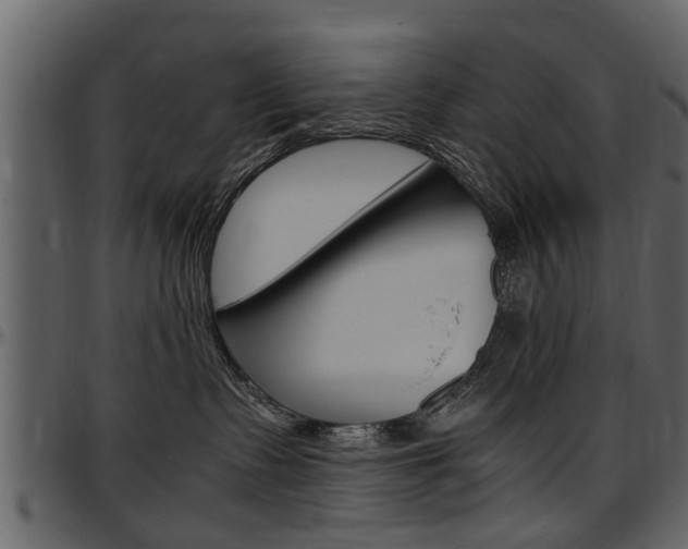 X0000097640335200802290828